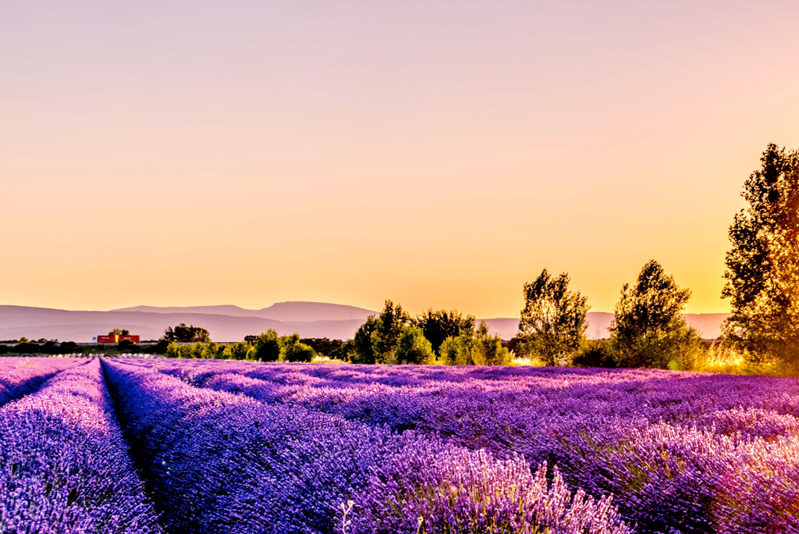 February 2025 - The Current State of International Investing February 2025 - The Current State of International Investing