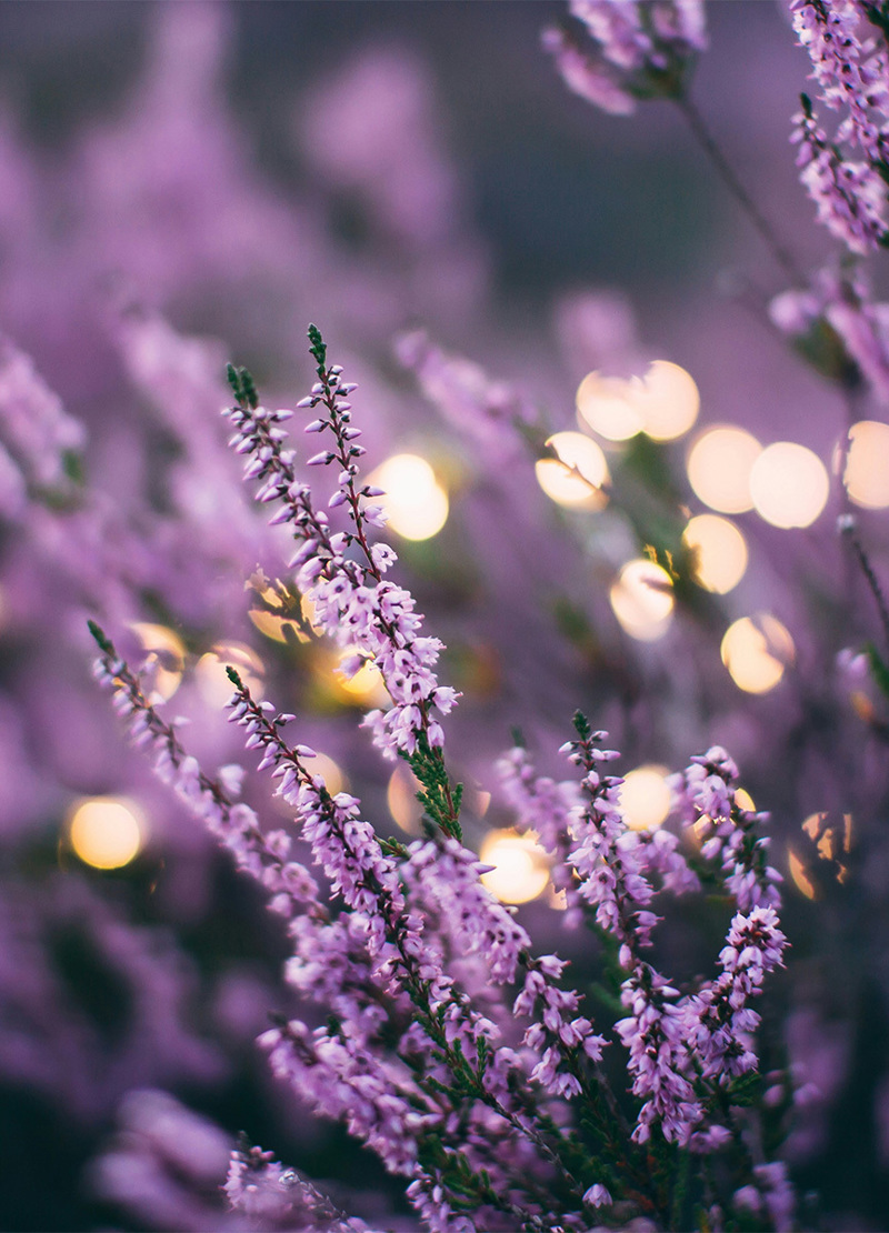 September 2025 - Strength Amidst Skepticism September 2025 - Strength Amidst Skepticism