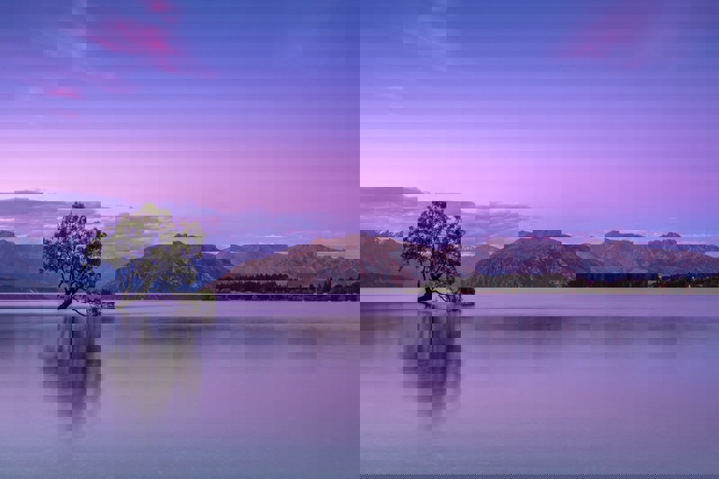 December 2024 - The Consumer Remains the Key December 2024 - The Consumer Remains the Key