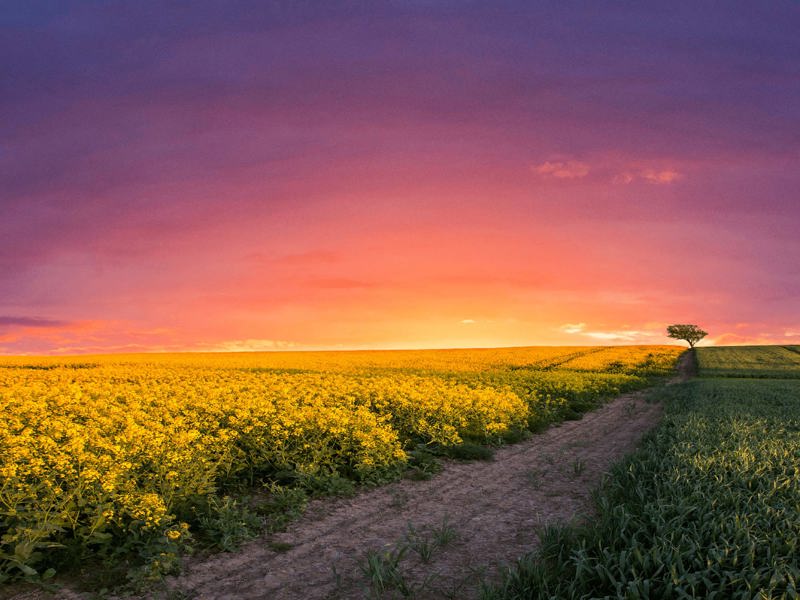 September 2024 - Typical Situation in Atypical Times September 2024 - Typical Situation in Atypical Times