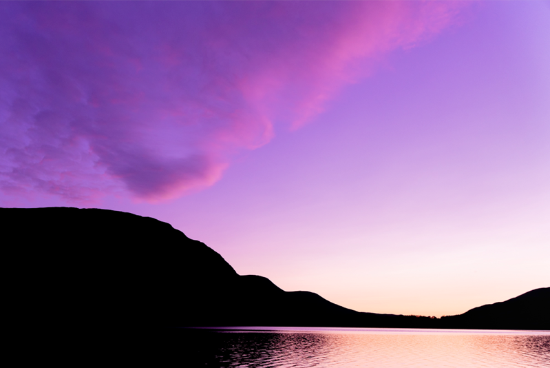 June 2024 - Summer Simmer June 2024 - Summer Simmer